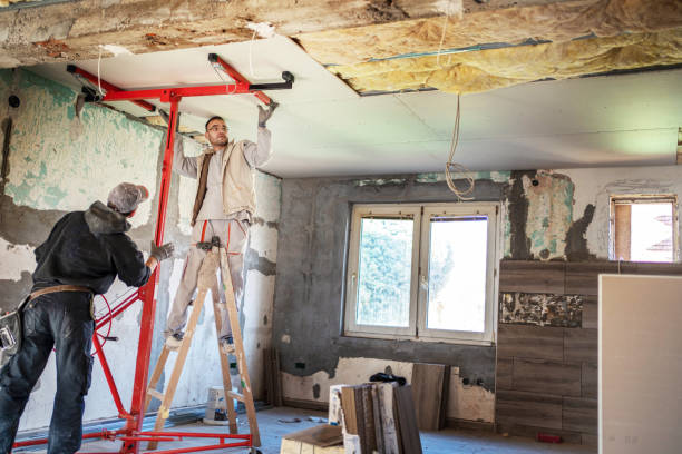 Best Insulation Maintenance and Repair in Palm Springs, FL