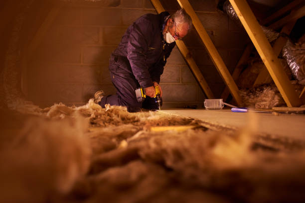 Best Residential Insulation in Palm Springs, FL